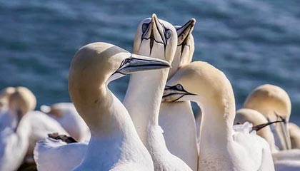 比特币突发崩盘式暴跌，超47万人爆仓400亿！发生了什么？