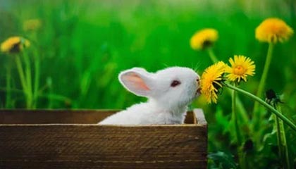 比特币中国交易所交易密码忘记了，怎么办？