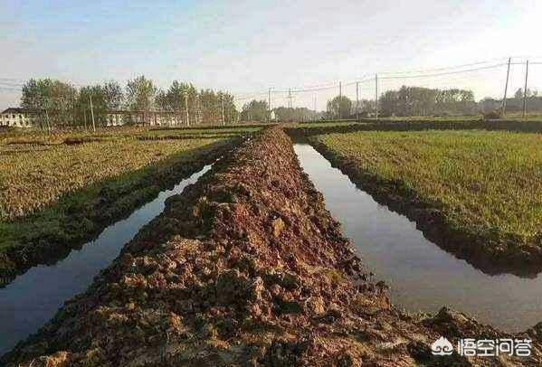 开挖一百亩虾塘的总费用大概是多少<strong></p>
<p>比特币矿池</strong>？