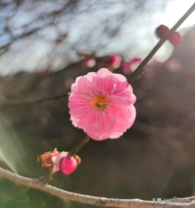 比特币现在50000美元<strong></p>
<p>比特币价格今日</strong>，有谁像我一样错过成为亿万富翁机会？