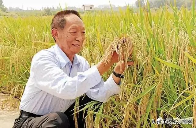 谁能告诉我<strong></p>
<p>比特币行情走势图</strong>，都这么恐慌了，黄金价格为啥还跌？