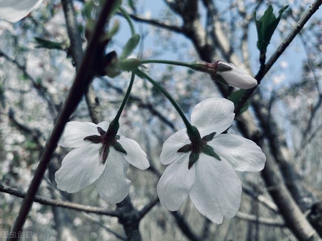 澳门博彩业这么发达老百姓是不是经常赌博<strong></p>
<p>虚拟货币新闻</strong>？