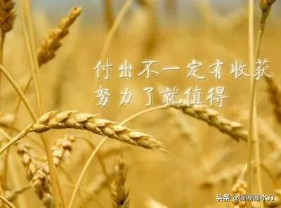白领去摆地摊<strong></p>
<p>币小哥</strong>，被同事撞见了会尴尬吗？