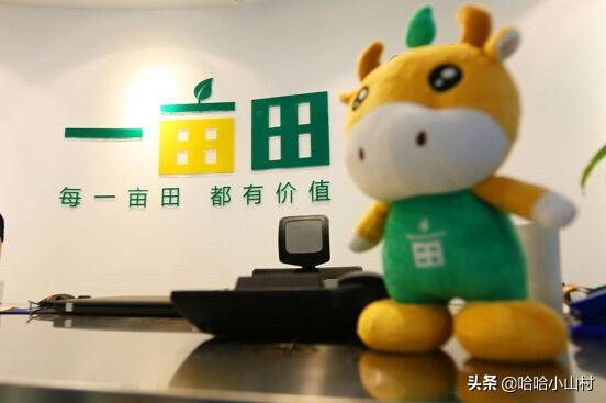 全国比较权威的农产品交易网站有哪些<strong></p>
<p>交易网站有哪些</strong>？