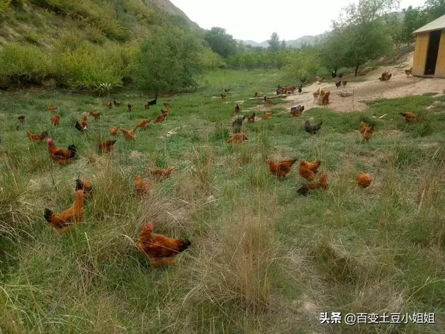 应该选择哪个农产品交易网站比较好一点呢<strong></p>
<p>交易网站有哪些</strong>？
