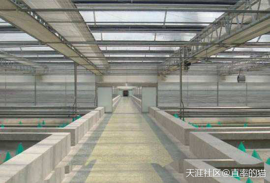 推进生态健康养殖<strong></p>
<p>美股绿色</strong>，促进蛭尚美水蛭养殖绿色发展