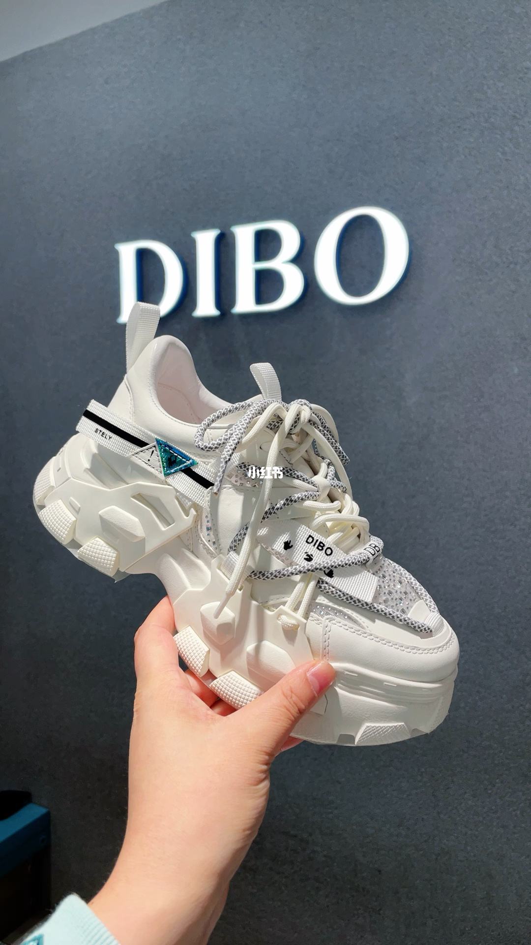 DiBi(地表水质量标准GB38382002)
