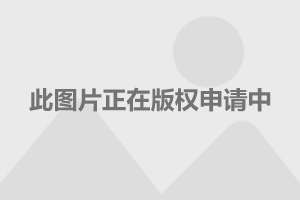 华安理财佳(华安理财5号)