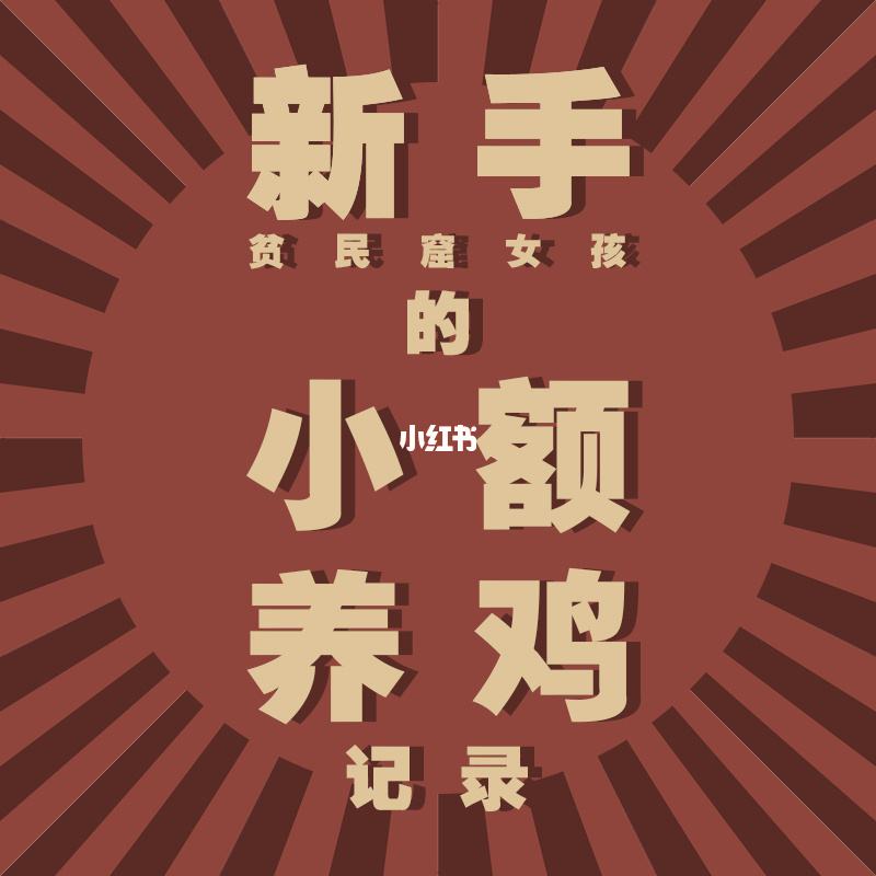 理财养鸡方法(理财买鸡是什么意思)