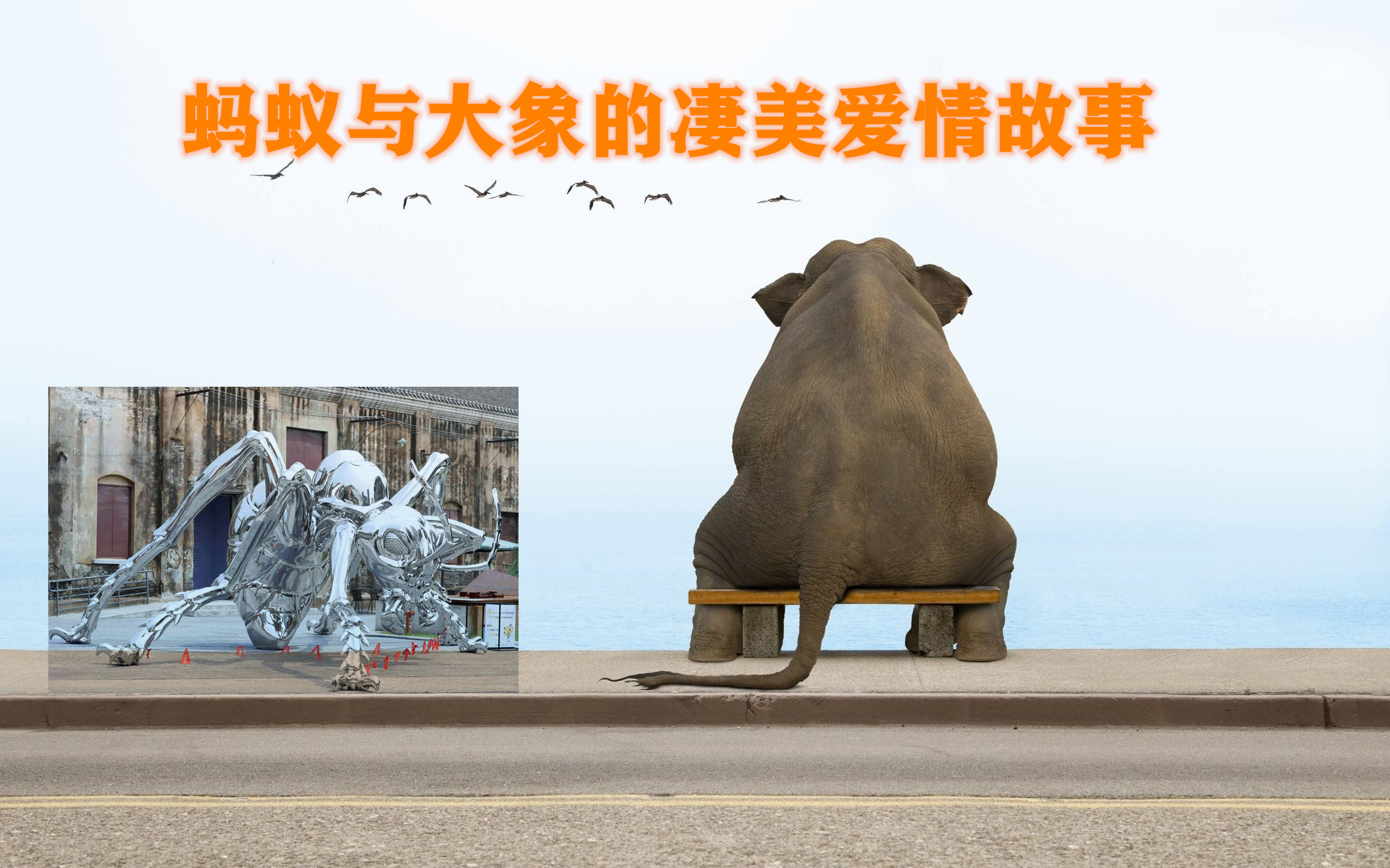 蚂袋理财(蚂蚁理财可靠吗)