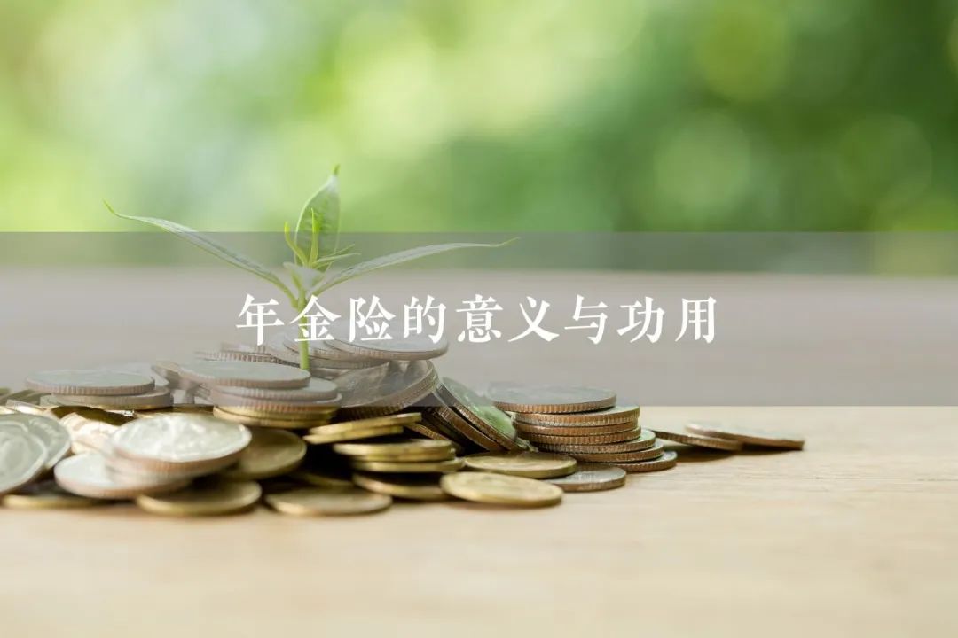 理财险功用(理财险有什么用)