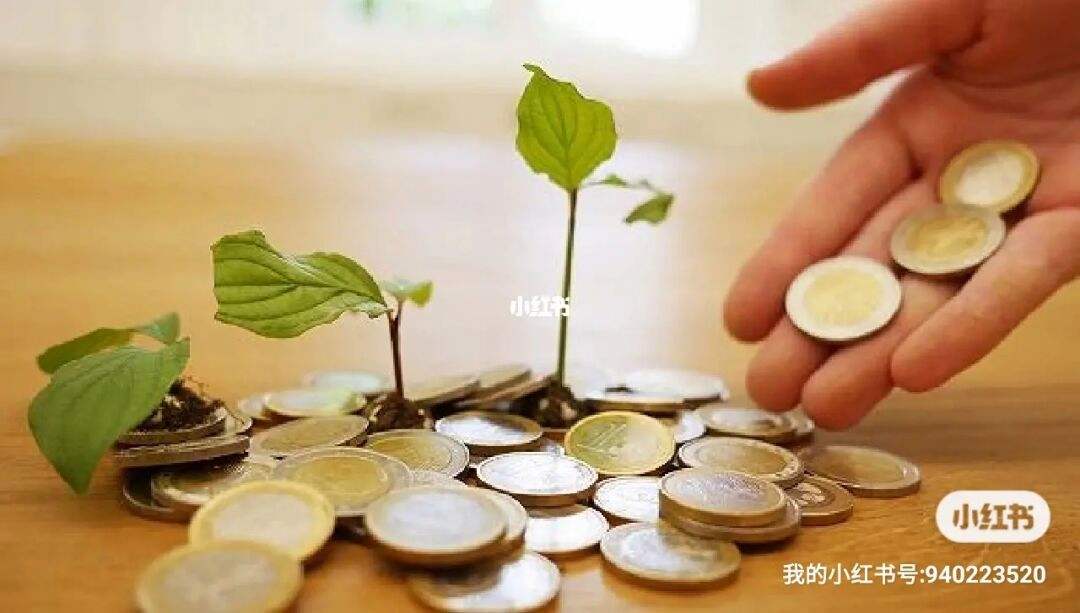划算的理财(好的理财推荐)