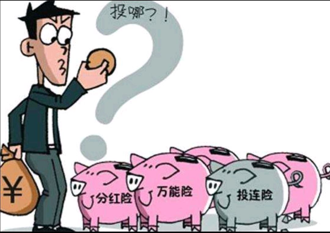 较好理财险(比较好的理财险)