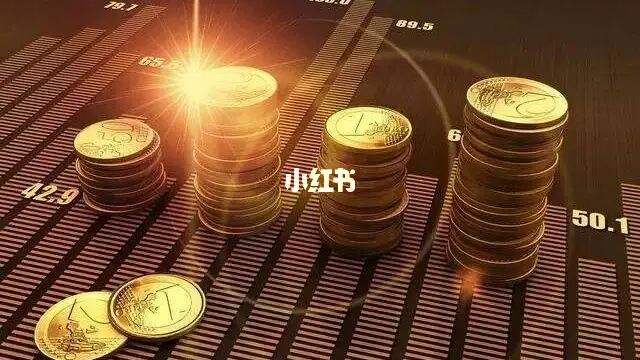 美丽什么理财(美丽什么意思?)