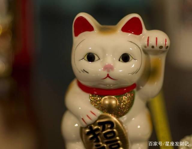理财什么猫(什么理财产品)