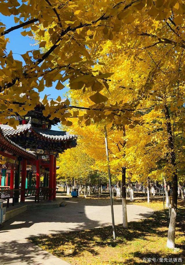万岱理财(东莞万岱实业投资有限公司)