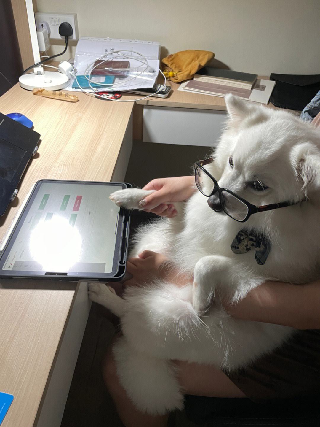 晚上做理财(夜间理财是什么意思啊)