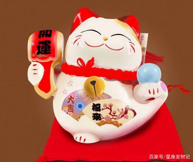 理财买猫(买理财可靠吗)