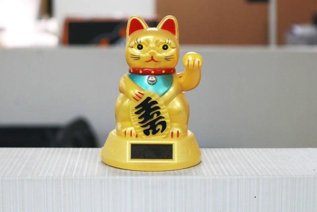 理财买猫(招财猫理财平台兑付最新消息)