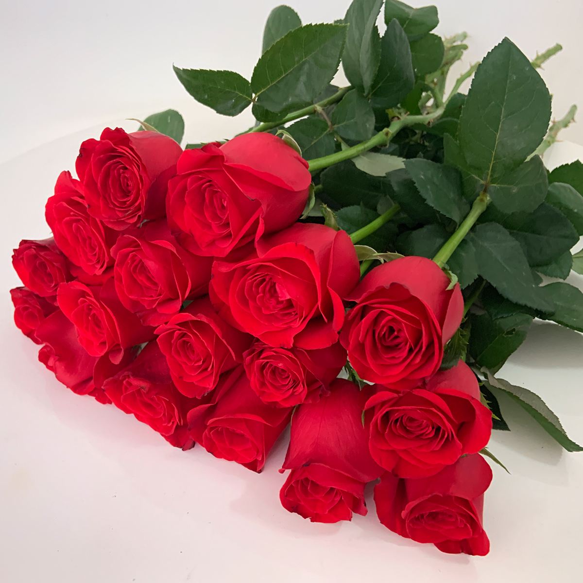 玫瑰花(玫瑰花的花语)