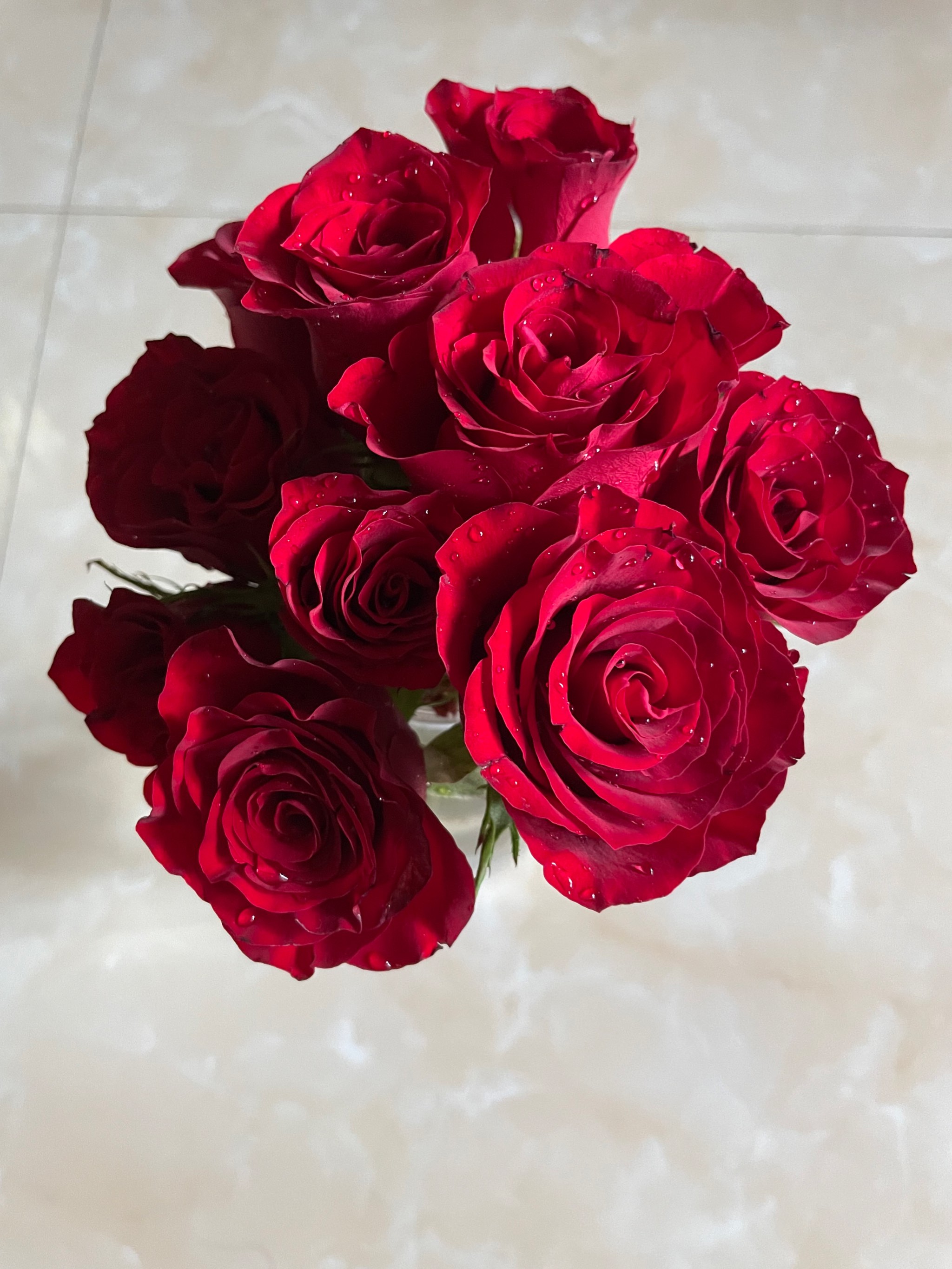玫瑰花(玫瑰花泡水喝的功效作用)