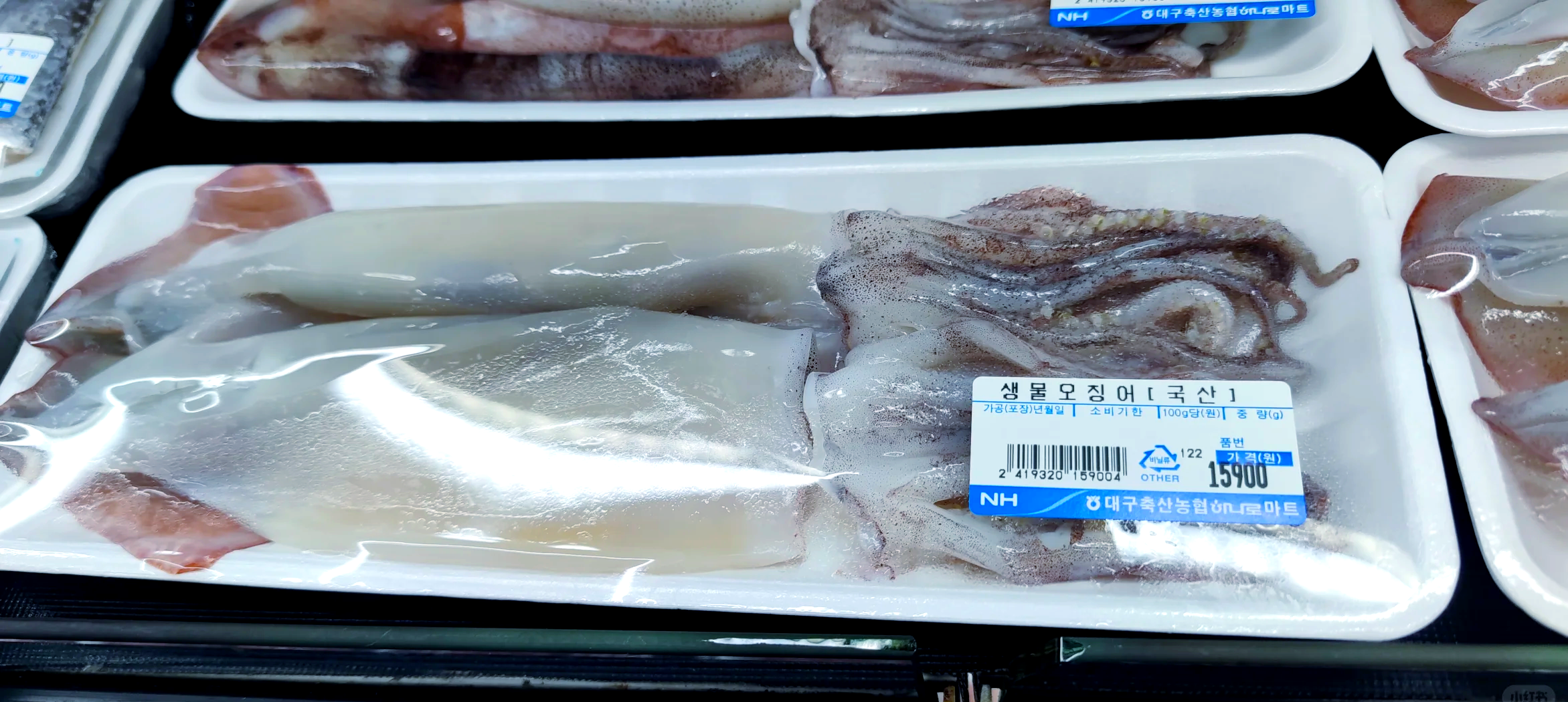 鱿鱼币(鱿鱼币价格今日行情走势图)