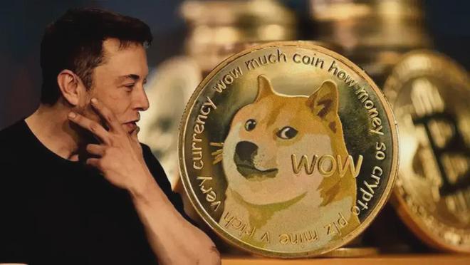 马斯克狗狗币(马斯克狗狗币价格)