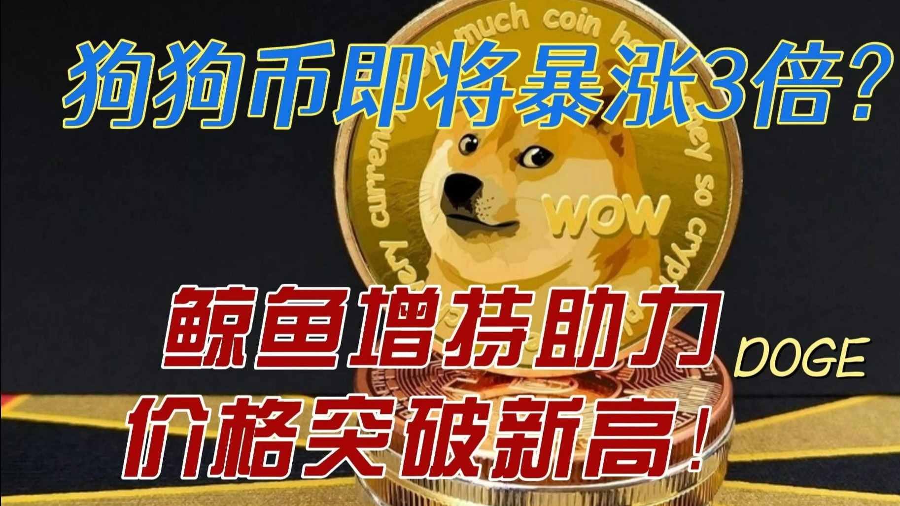 狗狗币暴涨(狗狗币暴涨了多少倍)