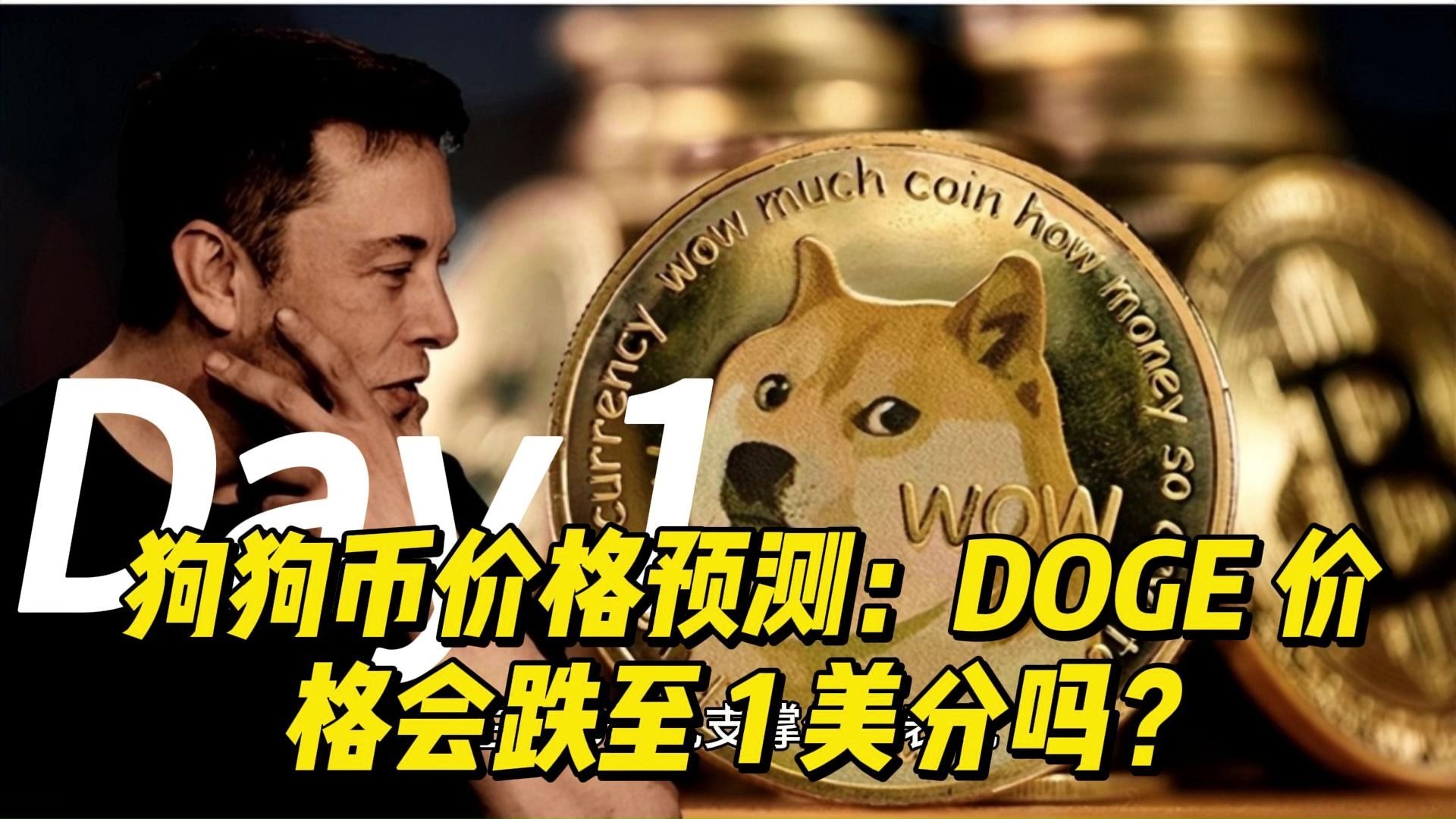 DOGE币行情(doge币行情分析)