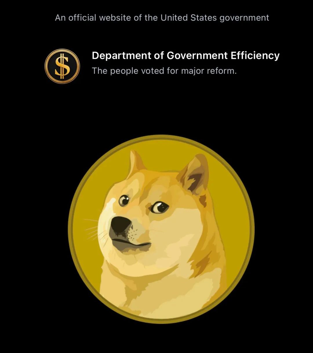 马斯克狗狗币(马斯克狗狗币月球时间)