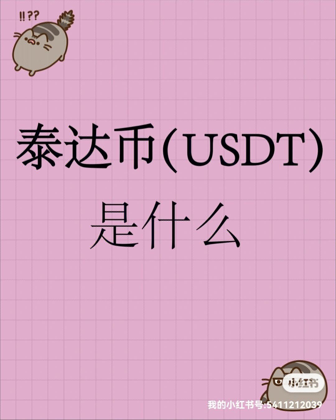 USDT是什么意思(8MUSDT是什么意思)