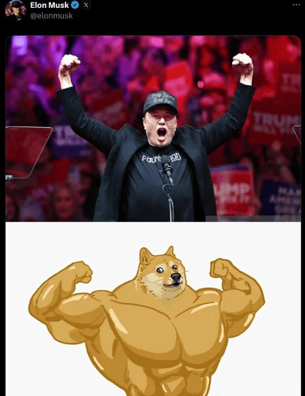 DOGE(doge官网)