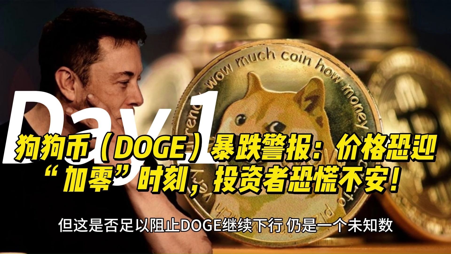 DOGE(狗狗币历史行情走势图)