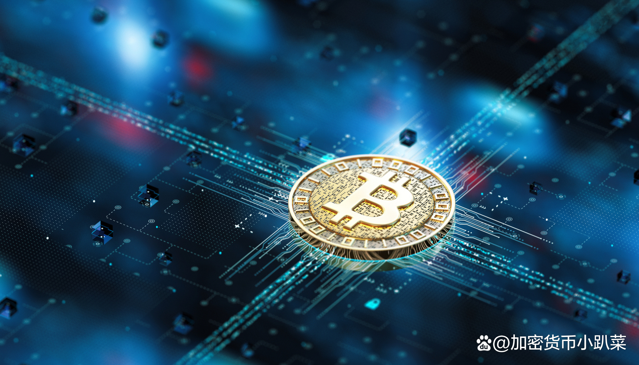 加密货币(加密货币龙头股)