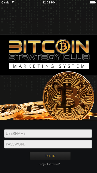 bitcoin(bitcoin中文翻译)