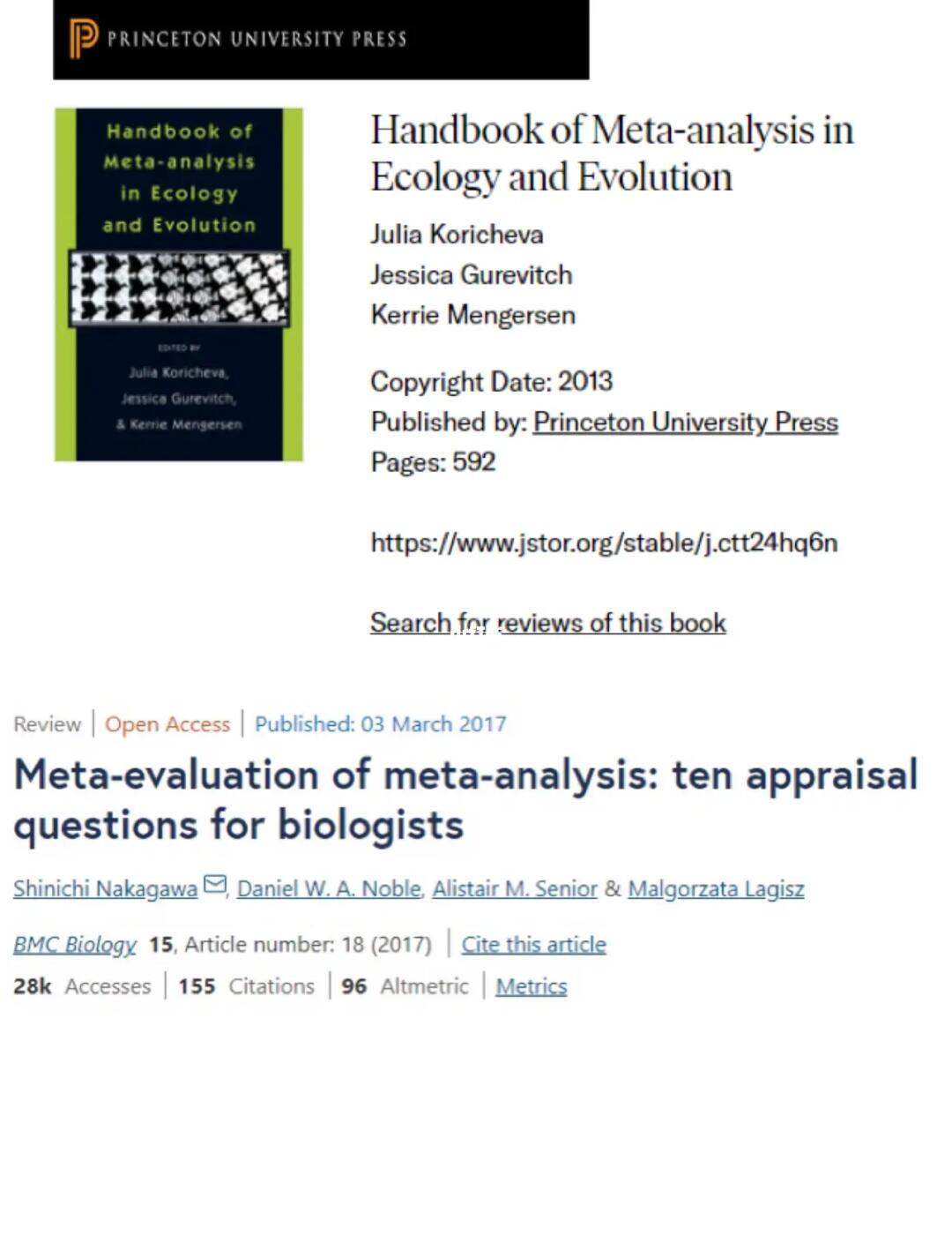 META(meta眼镜)