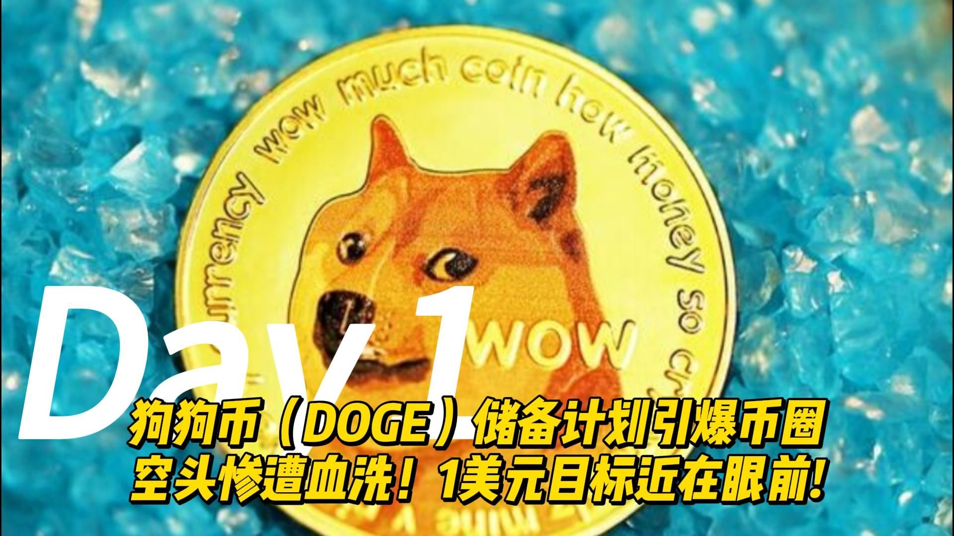 DOGE币行情(doge币行情 币排名网)