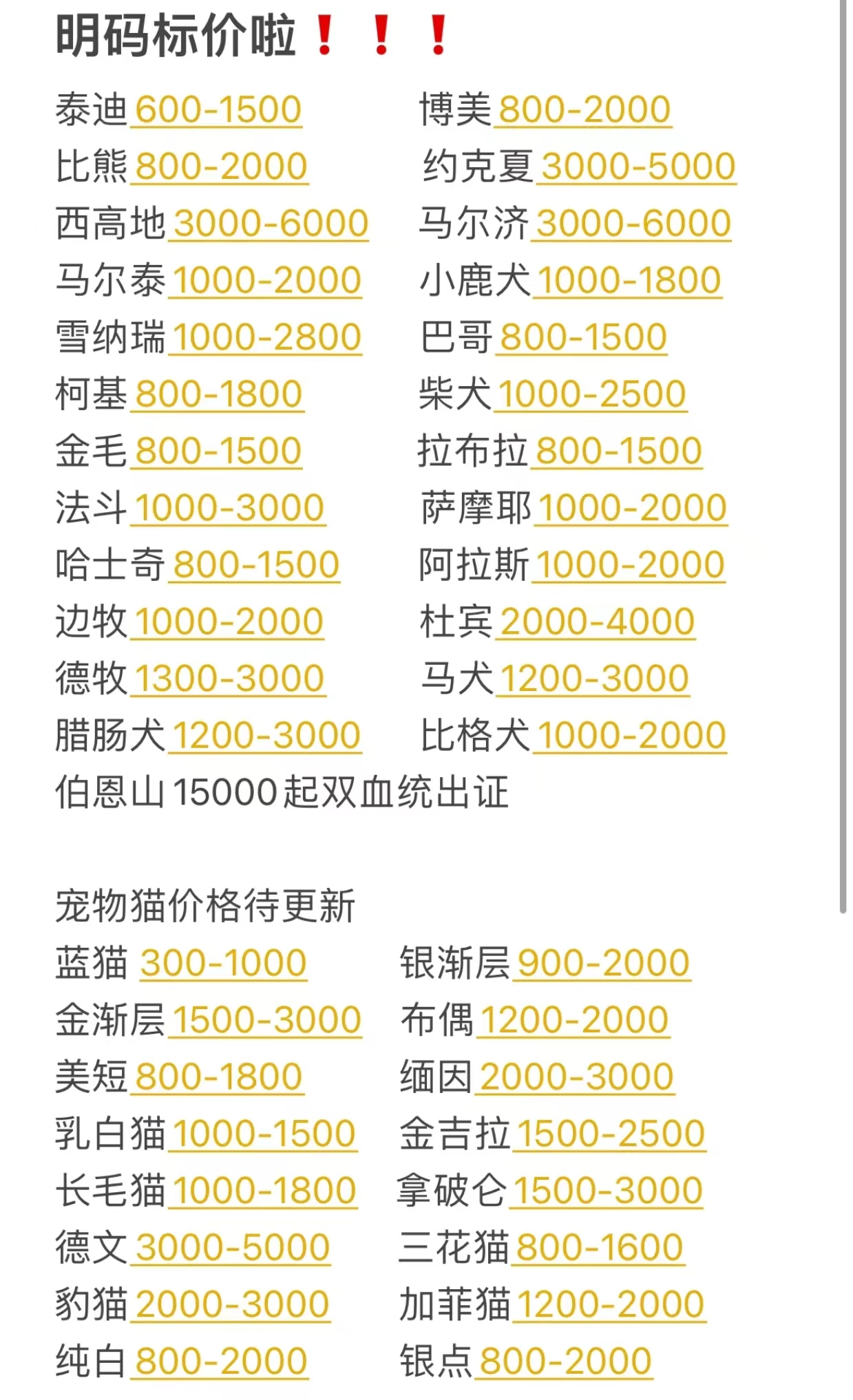 狗狗币今日最新价格(狗狗币今日最新价格 币排名网)