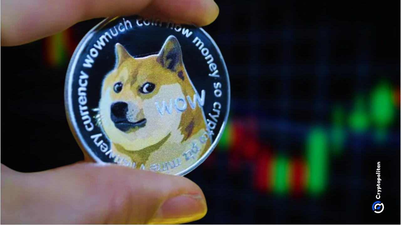 DOGE币(doge币怎么交易买卖热门交易所地址cc)
