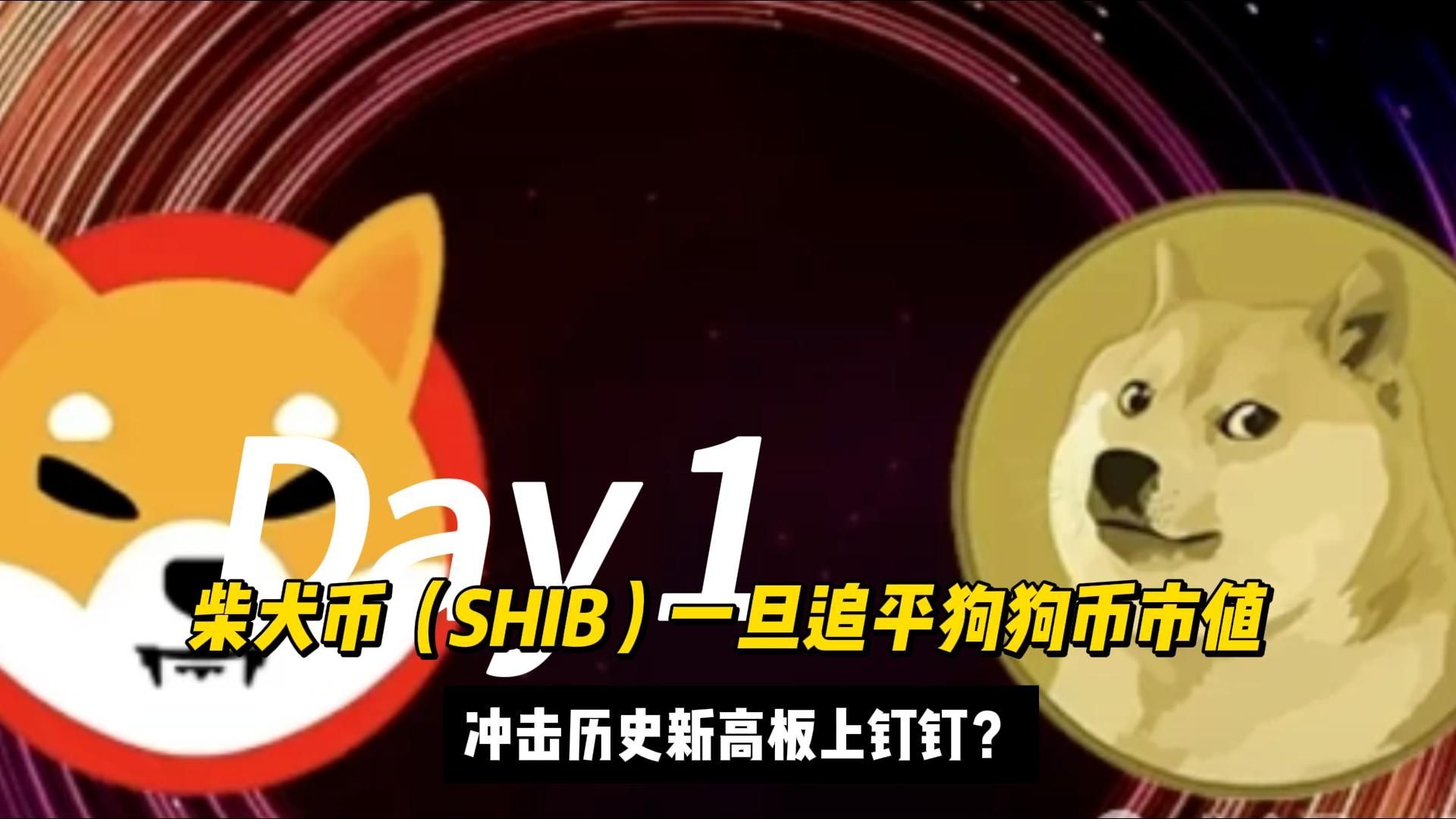 SHIB币最新价格(shib币价格行情走势)