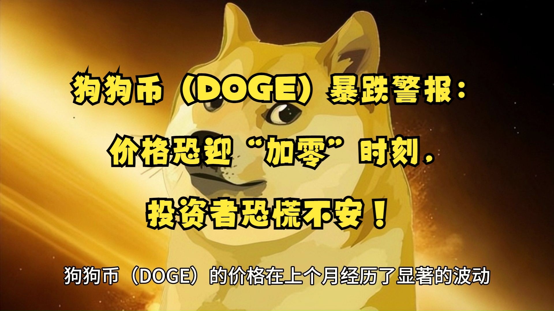 狗狗币暴涨(狗狗币暴涨700倍)