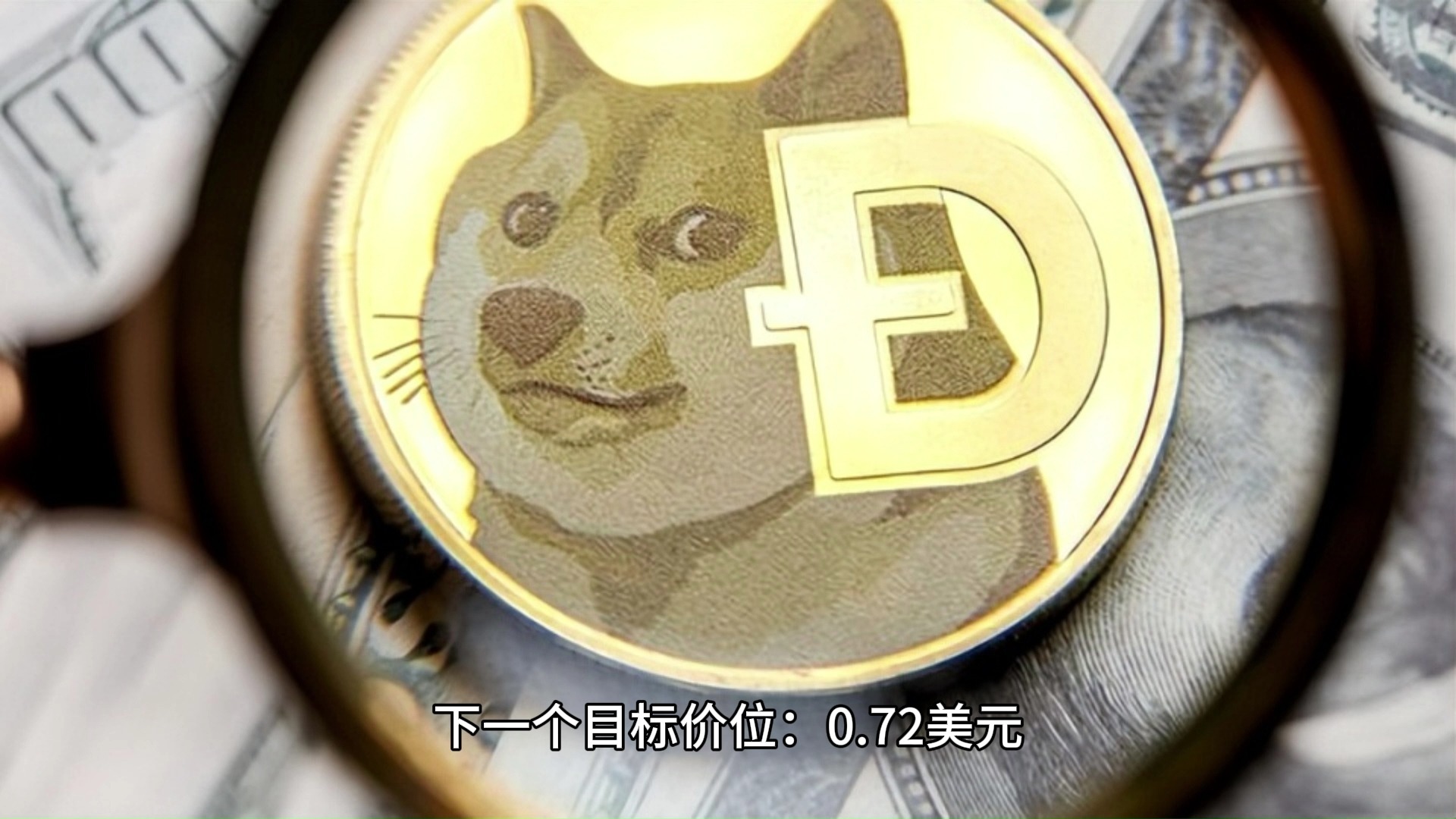 DOGE币(doge币今日行情)