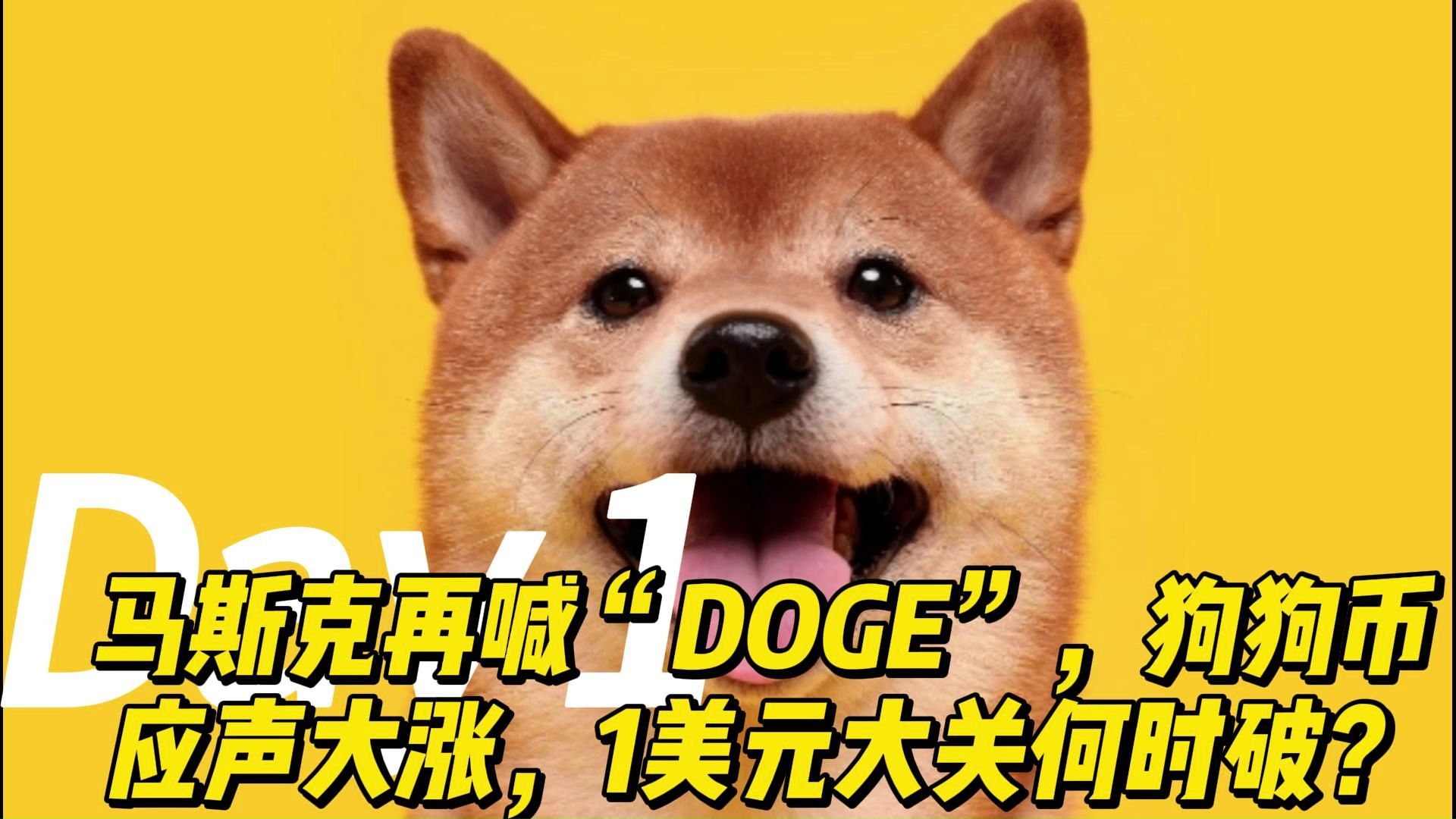 DOGE币(doge币app旧版本怎么下载手机版下载cc)