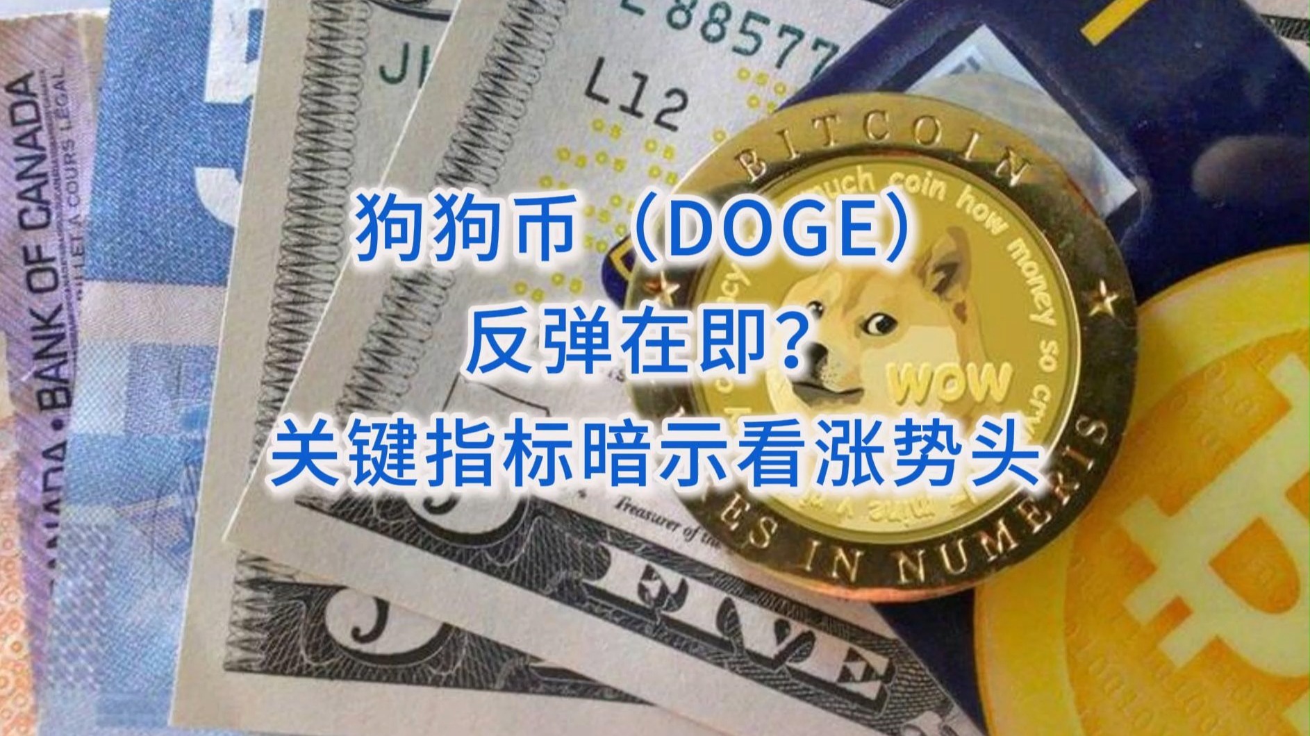 DOGE币(doge币挖矿工具最新版官方版下载cc)