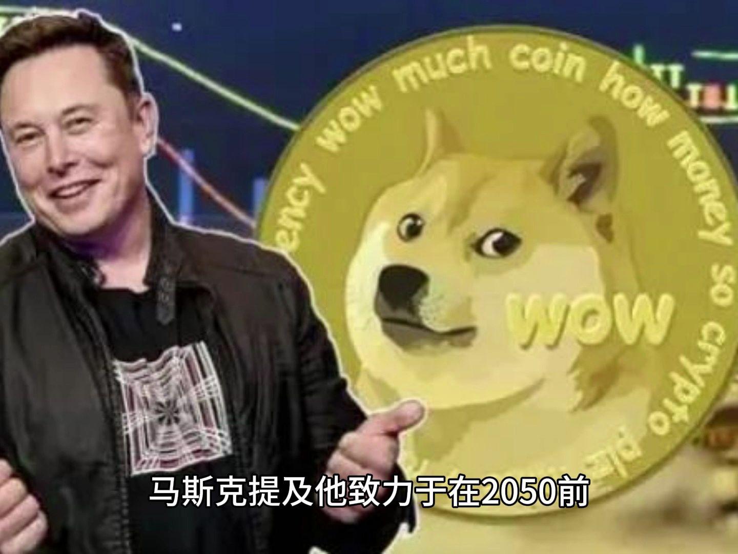 马斯克狗狗币(马斯克狗狗币今天价格)