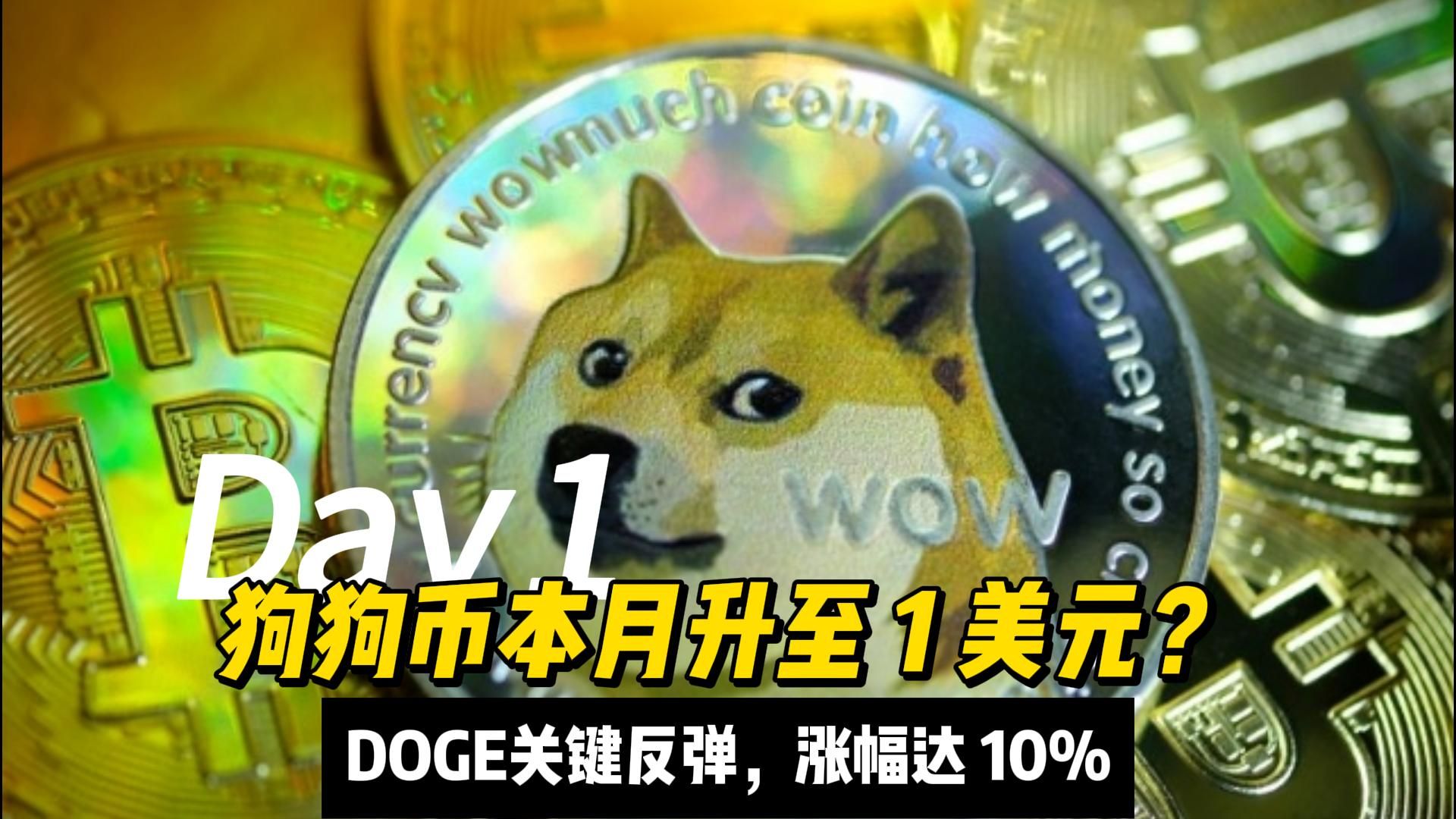 狗狗币暴涨(狗狗币暴涨趋势)