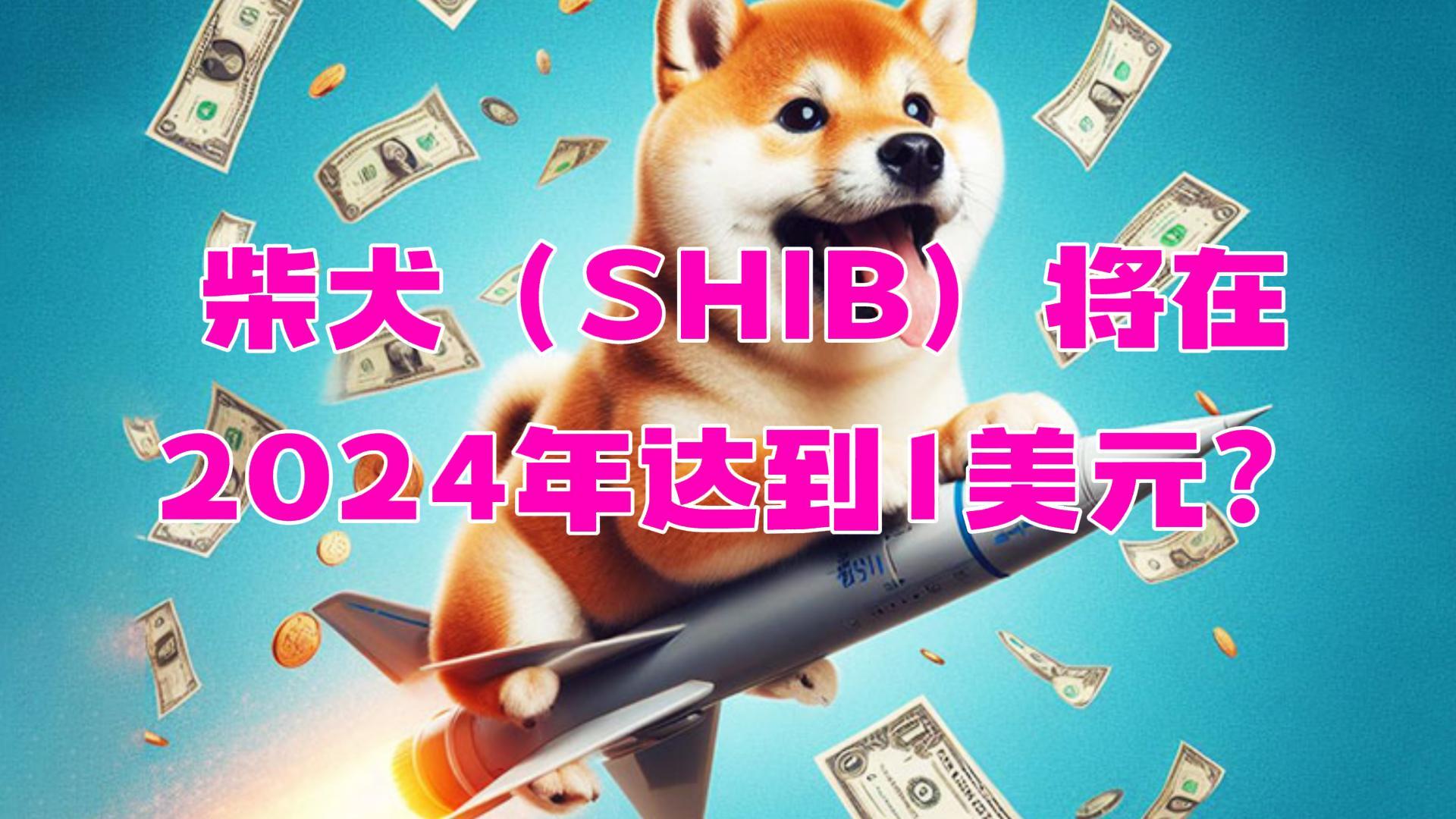 SHIB(十八岁免费观看完整版高清)