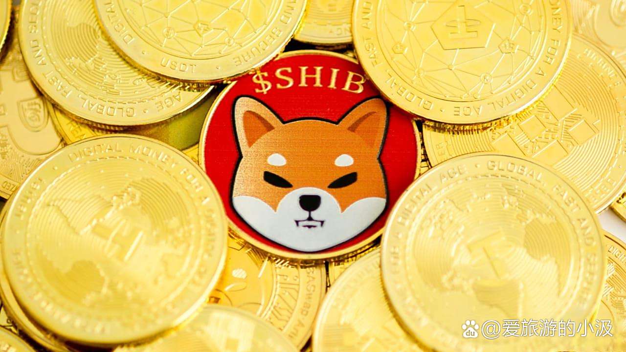 SHIB币最新价格(SHIB币最新价格 nt)