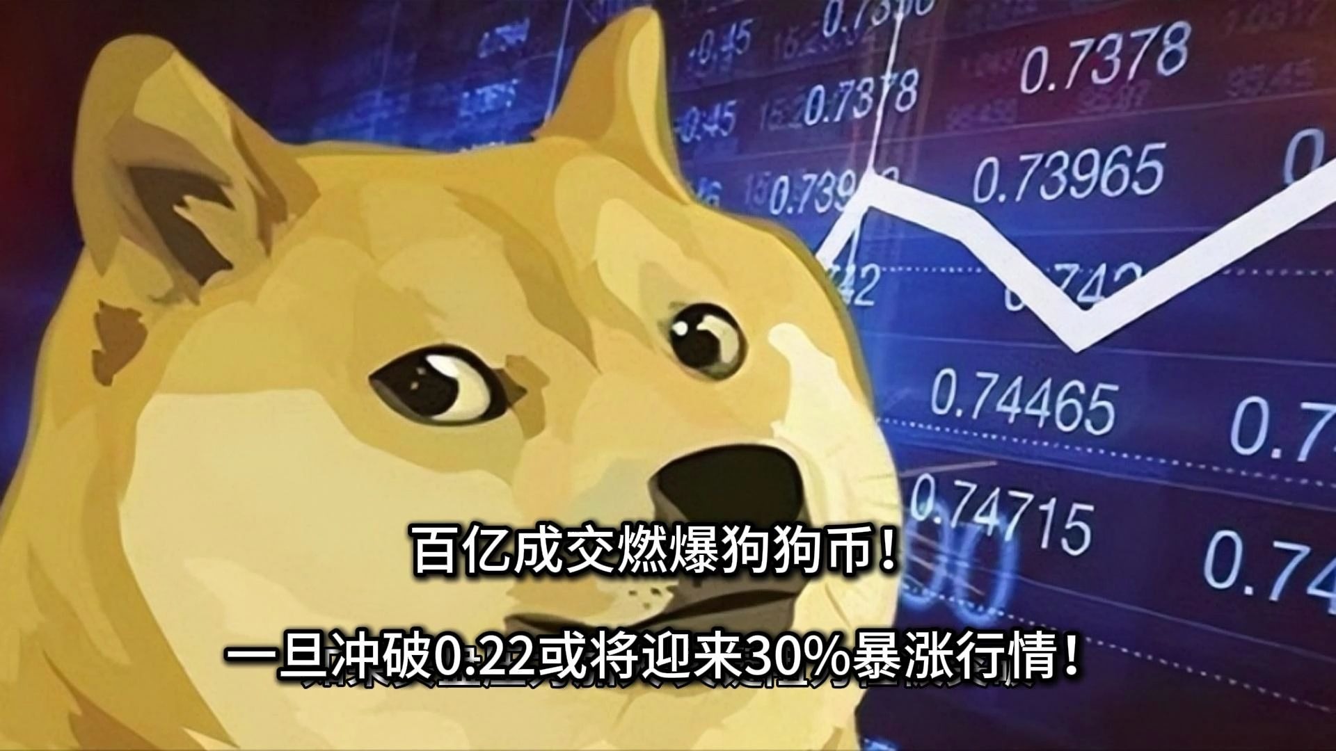 DOGE币行情(dogecoin币行情)