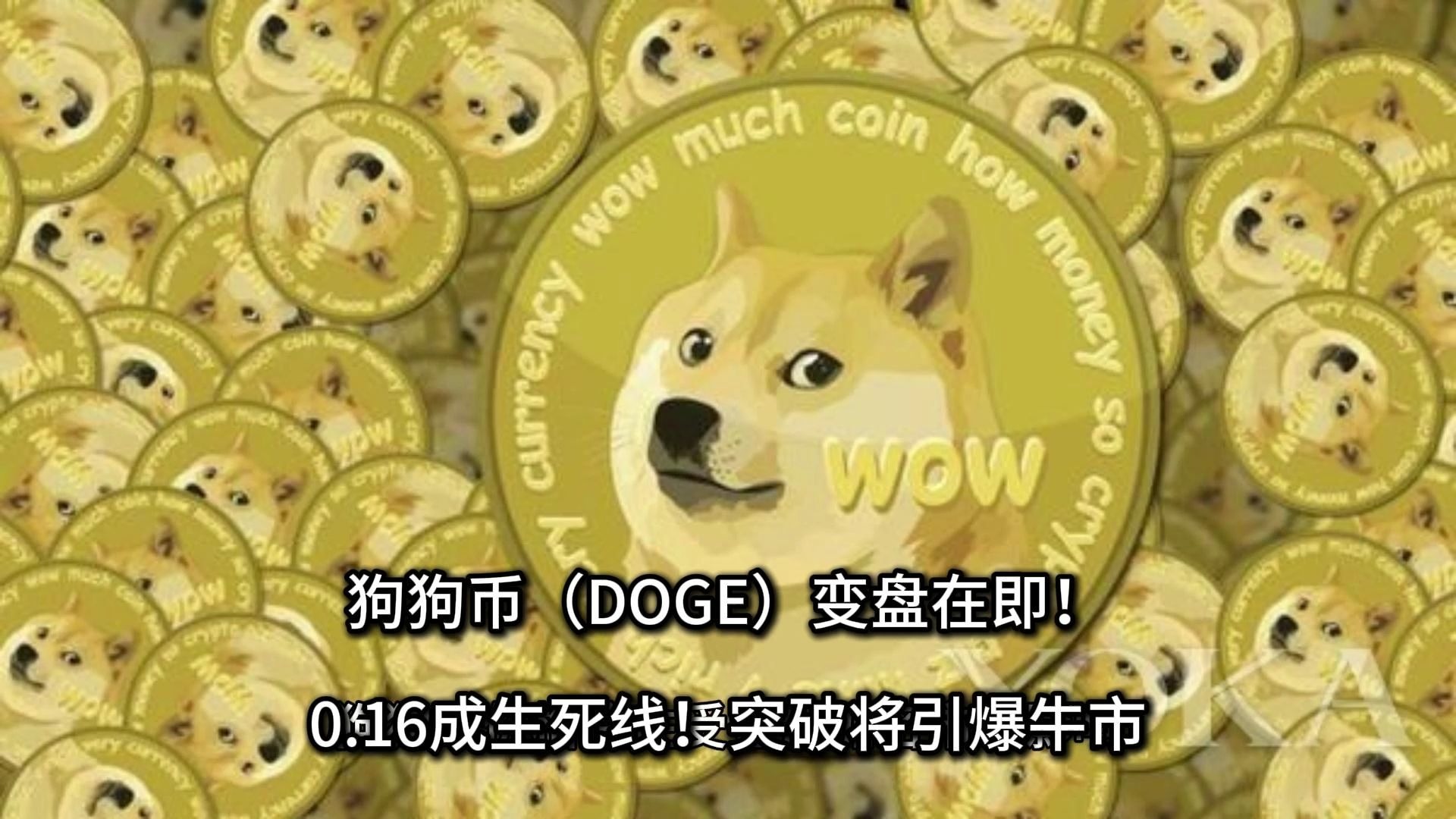DOGE币行情(doge币今日价格行情走势)